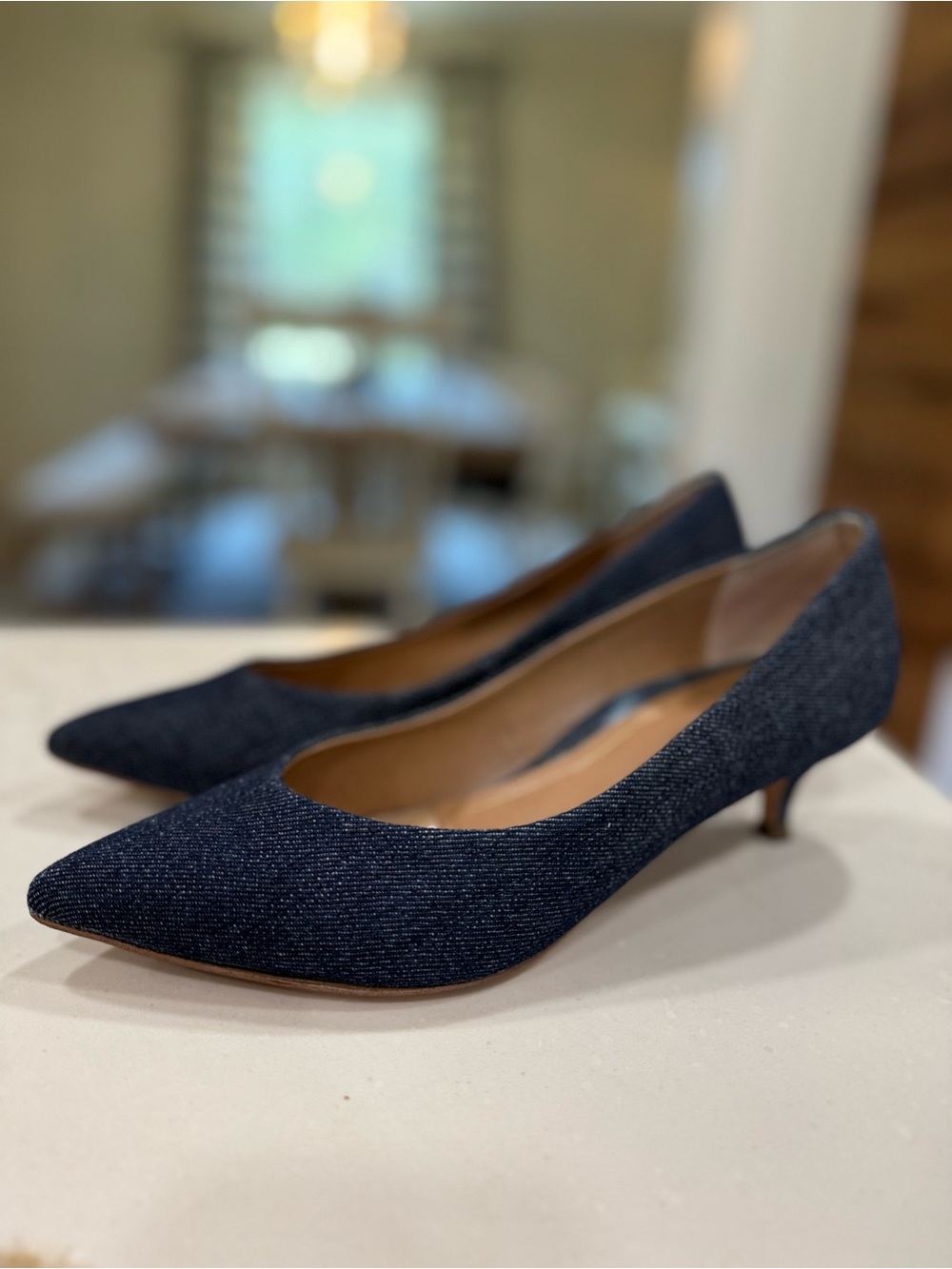 Vionic Pointed-Toe Kitten Heel Pumps in Navy